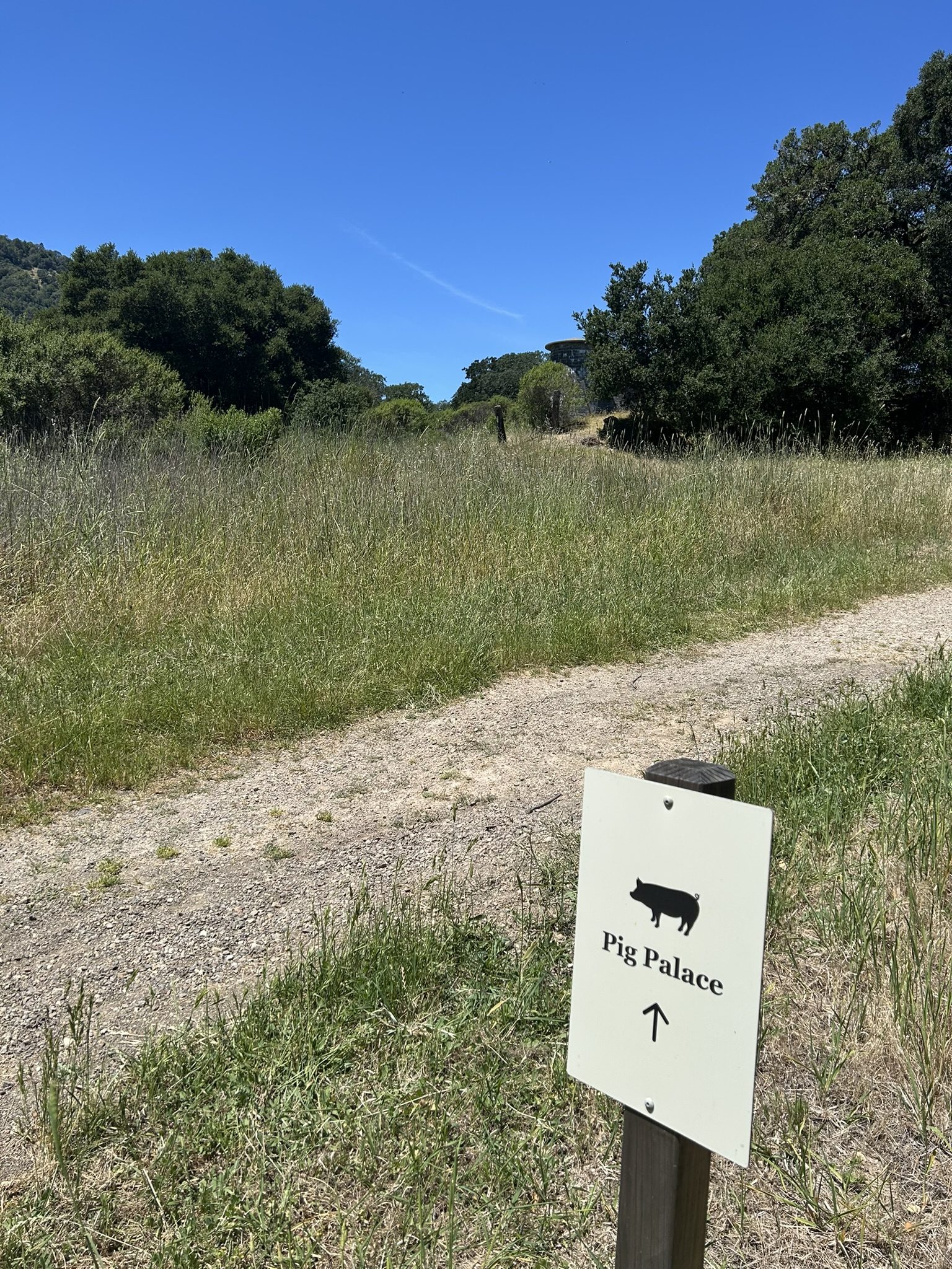 Pig Palace sign pointing up the hill