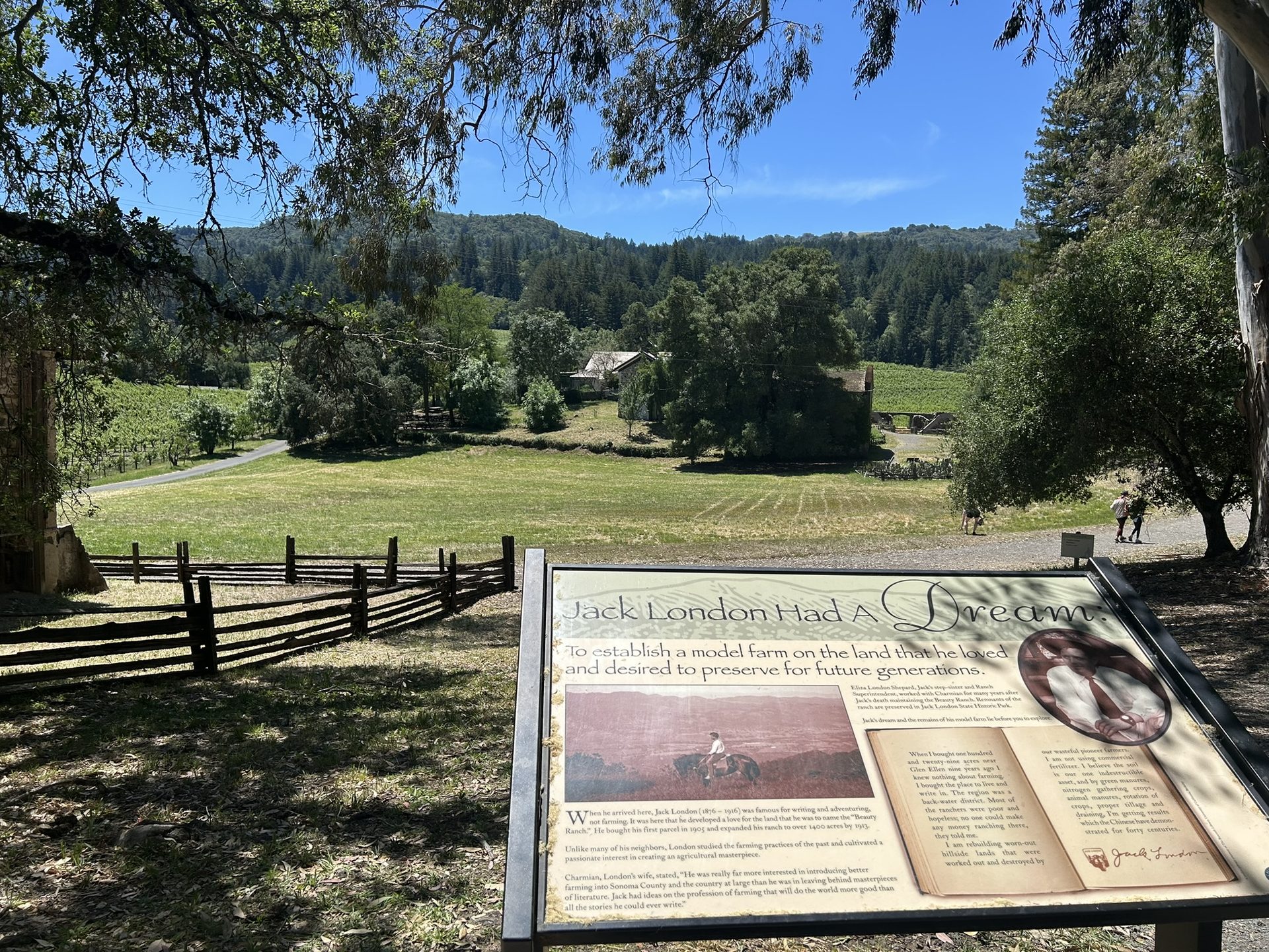 Jack London Had a Dream interpretive sign with valley view