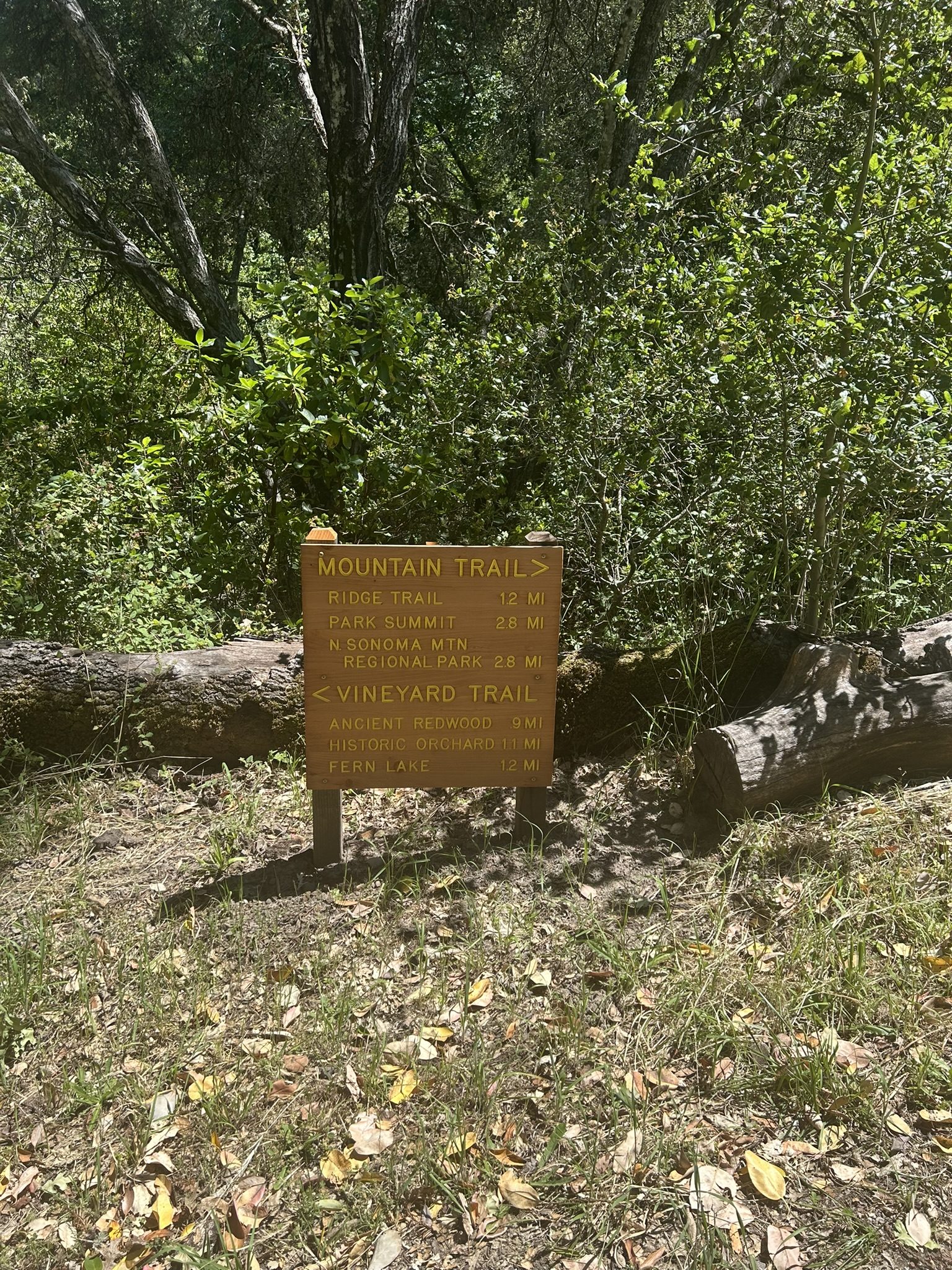 Mountain and Vineyard trail sign