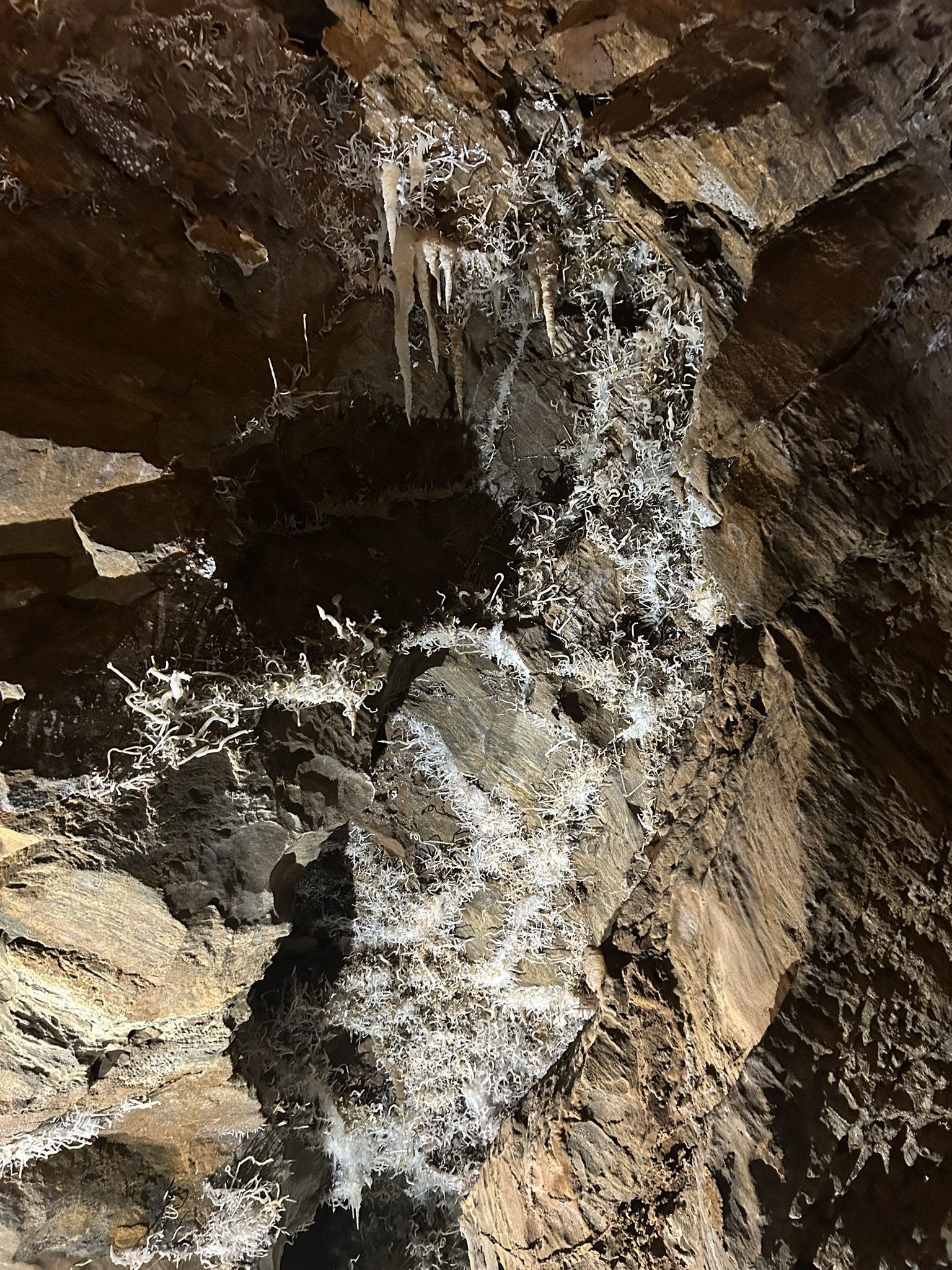 Calcite ribbons and helictites at Black Chasm